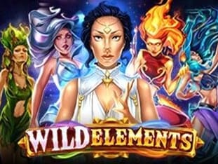 Wild Elements game thumbnail